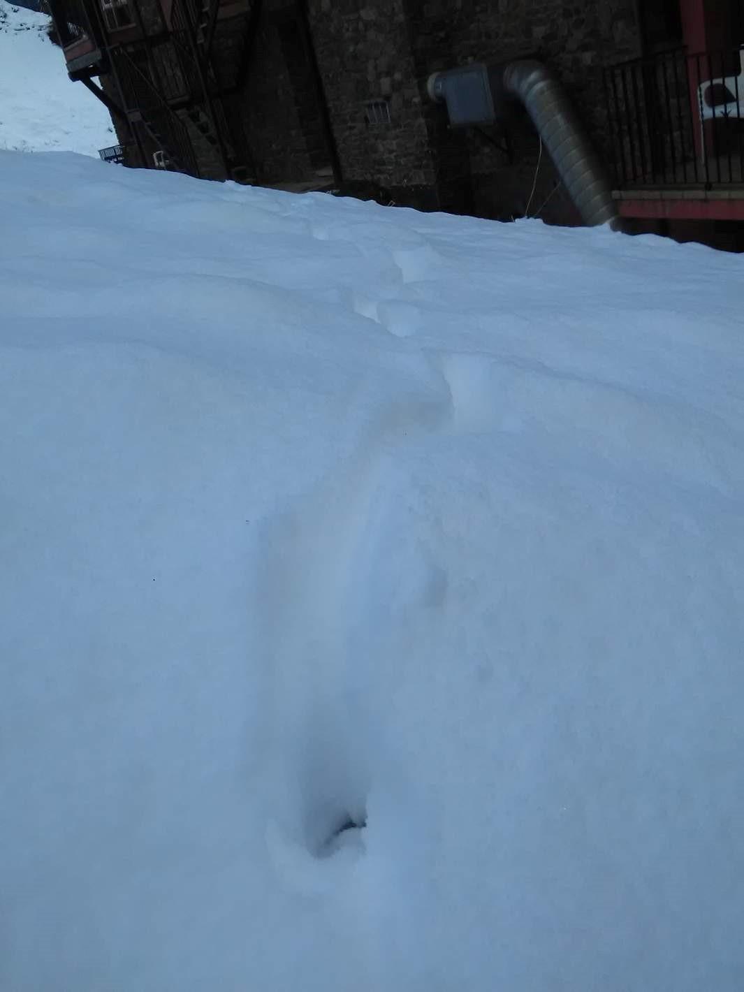 Xalet Besoli Arinsal Kültér fotó